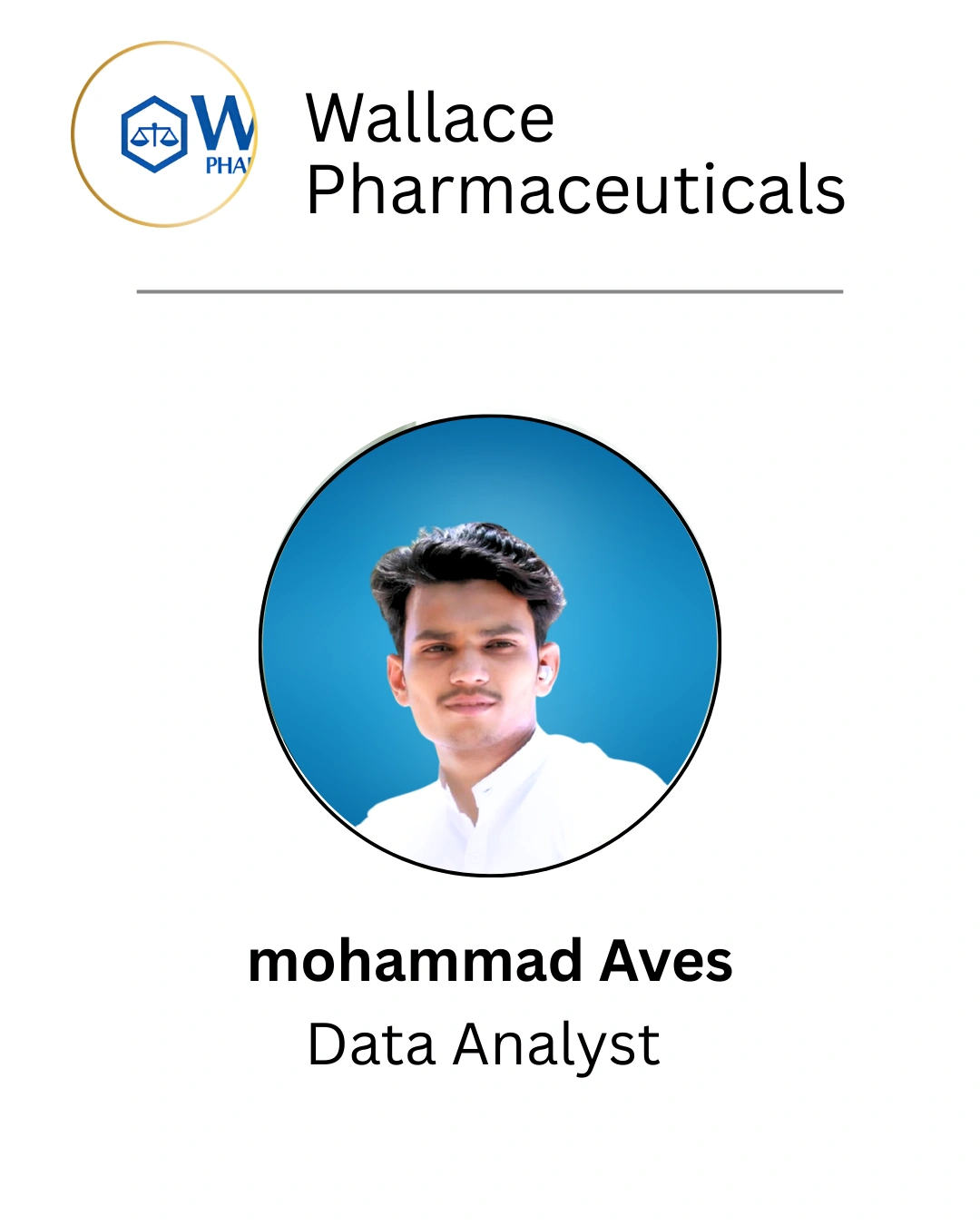 Mohammad Aves - Data Analyst